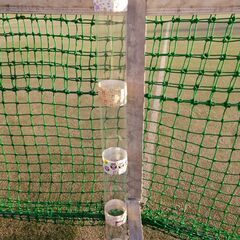 ピックアップ２１　テニスボール収集器　コートに散らばったボールを立ったまま収集することができます。２１個のボールを一度に収集可能　透明PET容器なので、軽くて丈夫です。収集したボールが見えます。●お近くまで取りに来ていただけますと送料無料です。の画像