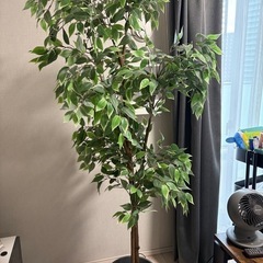 造花 大型観葉植物