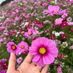 上手に節約して自分に使えるお金と時間を増やしたい💖って仲間大募集🗽✨