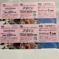 東京ドームシティアトラクションズ　11/30まで　ペアチケット　①