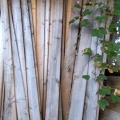 木材　板材料　無料で差し上げますの画像