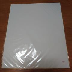 画仙張色紙2枚セット