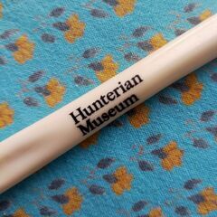 イギリス・ハンターミュージアム・骨ボールペン（Bone Pen）の画像