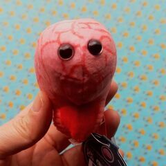 イギリス・ハンターミュージアム・BRAIN(脳)キーホルダーの画像