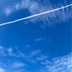 新しい季節に希望を乗せて✈️ − 福岡県
