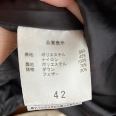 S.J.FERRYダウンコートの画像