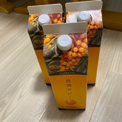 豊潤サジー　1000ml 3本セット　未開封