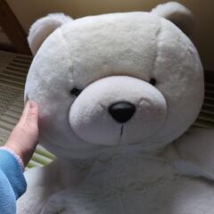 白いクマの大きいぬいぐるみの画像
