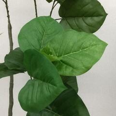(O-2410FG2)◆人工観葉植物◆フェイクグリーン◆鉢付き