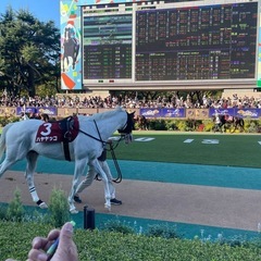 大募集！競馬好き・競馬友達・競馬仲間・競馬グループ♪老若男女年齢問わず(^^) - 中野区