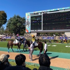 大募集！競馬好き・競馬友達・競馬仲間・競馬グループ♪老若男女年齢問わず(^^) - 友達