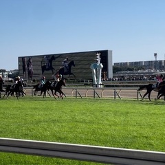 大募集！競馬好き・競馬友達・競馬仲間・競馬グループ♪老若男女年齢問わず(^^) − 東京都