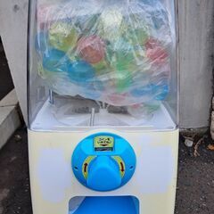 ガチャガチャ　コイン　カプセル付き