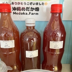 PSB 入荷してます🐟
