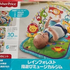 fisher price 指遊びミュージカルジム 