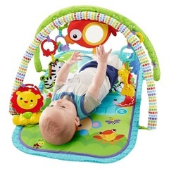 fisher price 指遊びミュージカルジム の画像