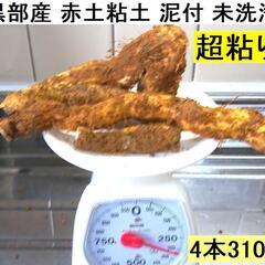 黒部産・超粘り！赤土粘土の典型的天然自然薯 4本≒310g