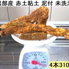 黒部産・超粘り！赤土粘土の典型的天然自然薯 4本≒310gの画像