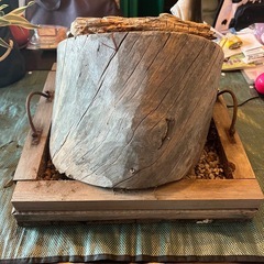 お値下❗️個性的な植木鉢　多肉の寄せ植えにオススメ❗️の画像
