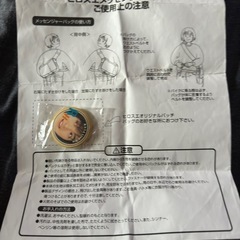 希少品 広末涼子　RH缶バッジ