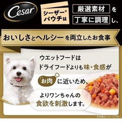 厳選ビーフチーズ野菜入りドッグフードの画像