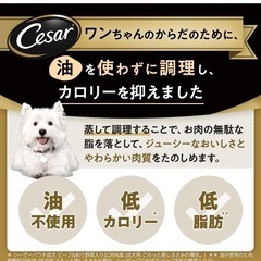 厳選ビーフチーズ野菜入りドッグフードの画像