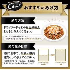 厳選ビーフチーズ野菜入りドッグフードの画像