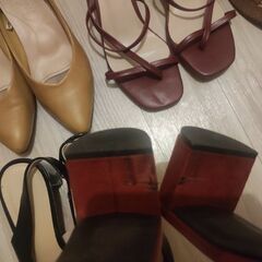 23.5~24 女性の靴とサンダル の画像