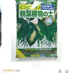 観葉植物の土　の画像