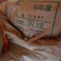 令和6年産　会津コシヒカリ　玄米30㎏の画像