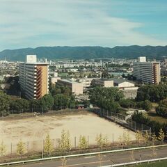 外国人と会いたいと思いますか？
