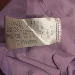 ラプンツェル110の画像