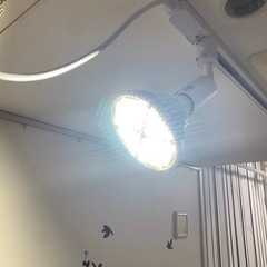 植物育成ライト