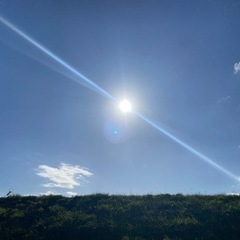 皆さん何を目標に生活してますか？