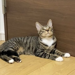 最後５ヶ月の3兄妹
