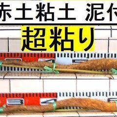 黒部産・超粘り！赤土粘土の典型的天然自然薯≒800mm≒280g