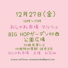 12月27日(金)　おしゃれ市場 in BIGHOPガーデン印西  公園広場　出店者募集 - 印西市