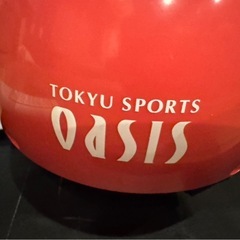 オアシス　ツイストステッパー の画像