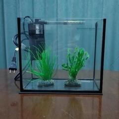 水槽