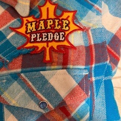 place plane RED LABELの画像