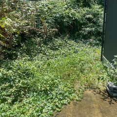 植栽伐採、雑草除去、外構工事なら 【植栽伐採ダッシュ 和光営業所】