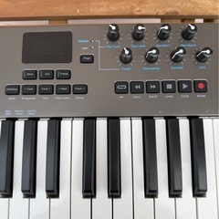 NEKTAR IMPACT LX49+　の画像