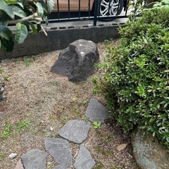 庭木と庭石の画像