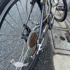 自転車（ビアンキ）の画像