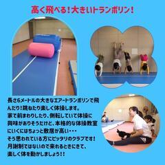 ワンレッスン制　幼児体操教室の画像