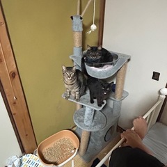 暖かく優しい家庭に恵まれますように…。