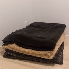 毛布2枚
