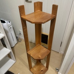 棚