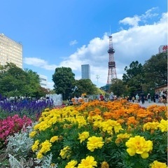 11月交流会でお友達増やしませんか？🎵夏に向けて👏