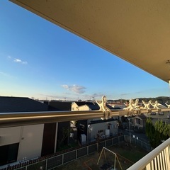物干し棒の画像